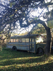 This old bus